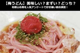 【梅うどん】美味しい？まずい？どっち？和歌山名物を人気アンケートで好き嫌い割合調査！