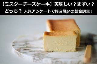 【ミスターチーズケーキ】美味しい？まずい？どっち？