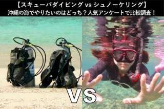 【スキューバダイビングvsシュノーケリング】沖縄の海でやりたいのはどっち？人気アンケートで比較調査！