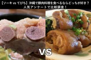 【ソーキvsてびち】沖縄で豚肉料理を食べるならどっちが好き？人気アンケートで比較調査！