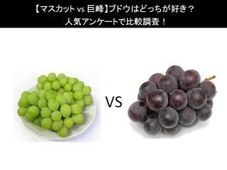 【マスカット vs 巨峰】ブドウはどっちが好き？