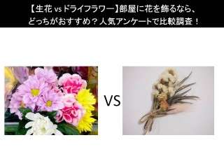 【生花 vs ドライフラワー】部屋に花を飾るなら、どっちがおすすめ？