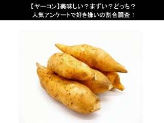 【ヤーコン】美味しい？まずい？どっち？