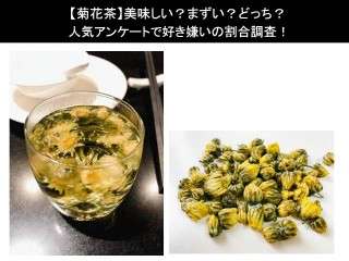 【菊花茶】美味しい？まずい？どっち？